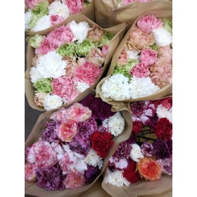 FLOR, CLAVELL COLOMBIA MIX IT.(paq x20)