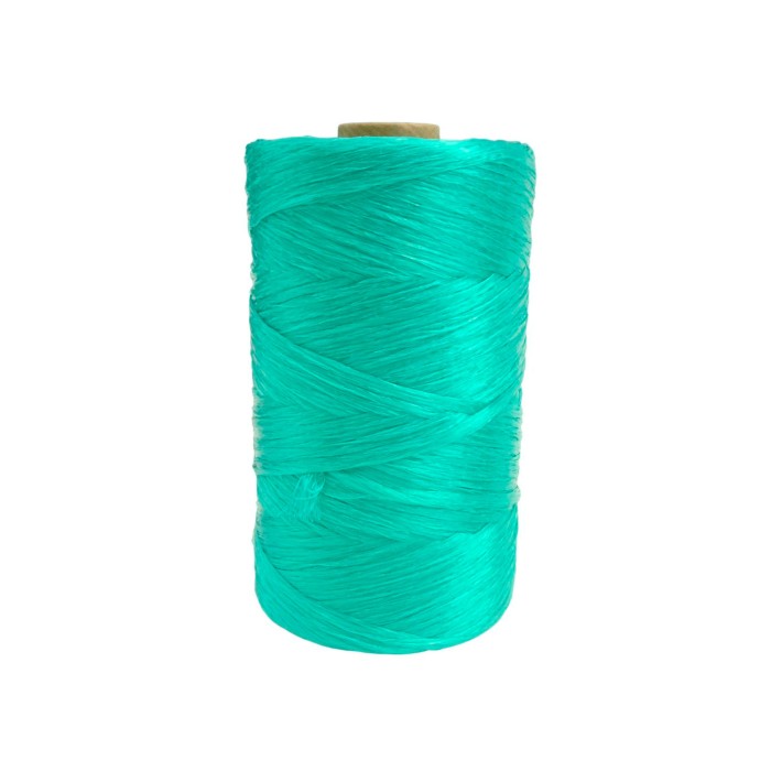 OASIS ACB RAFIA DE LLIGAR 500m VERDA