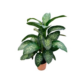 DIEFFENBACHIA TROPIC  M30