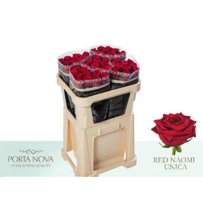 FLOR, ROSA HO. RED NAOMI 70CM. X10 RESERVA S.JORD