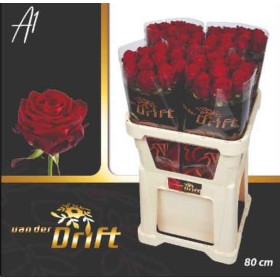 FLOR, ROSA HO. RED NAOMI 80CM. X10 RESERVA S.JORD