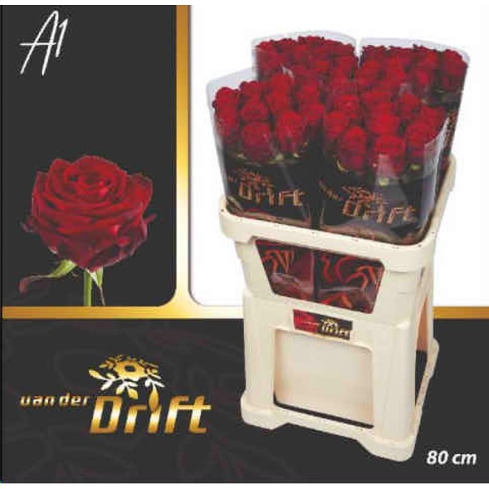 FLOR, ROSA HO. RED NAOMI 80CM. X10 RESERVA S.JORD