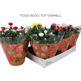ROSER   MINI TARRINA 20 VERMELL **Reserves Sant Jordi