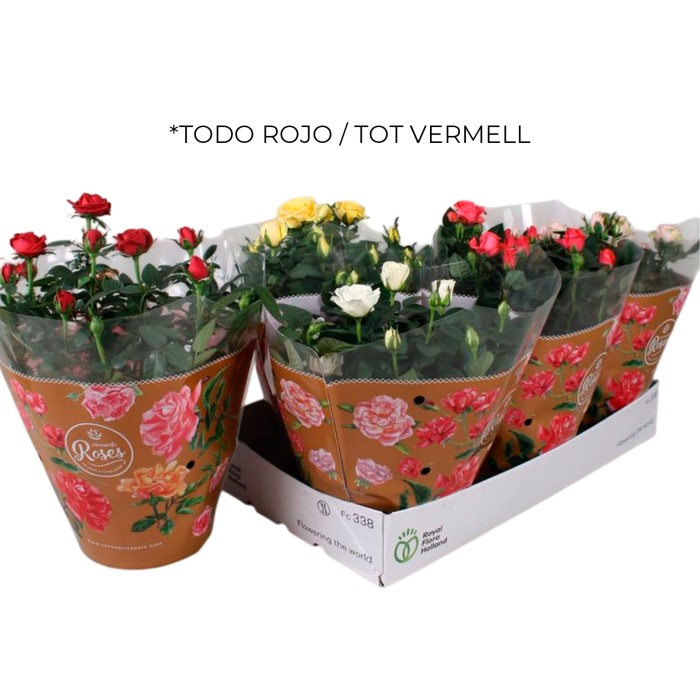 ROSER   MINI TARRINA 20 VERMELL **Reserves Sant Jordi
