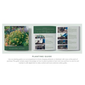 CUSTOMER PLANTING GUIDE - ENGLISH VERSION