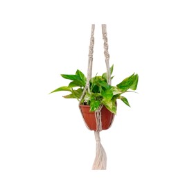 PENJADOR DE PLANTES DE MACRAME