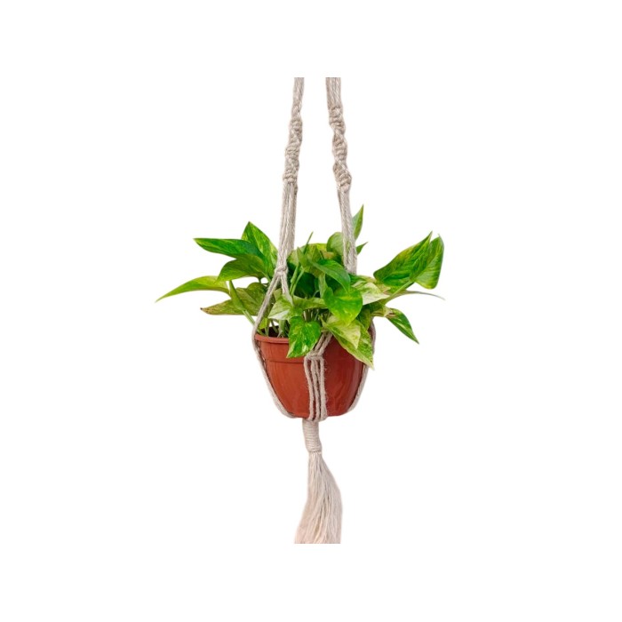 PENJADOR DE PLANTES DE MACRAME