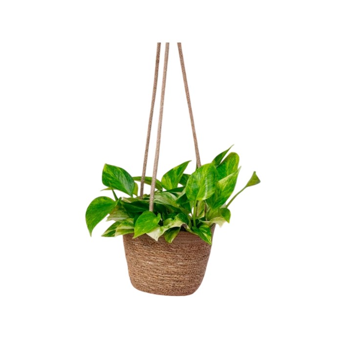 PENJ TEST CORDA YUTE NATURAL D12xH12cm 