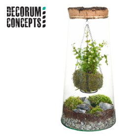 TERRARIUM KOKEDAMA D16 H32