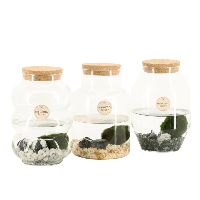 TERRARI  MARIMO D12 H18