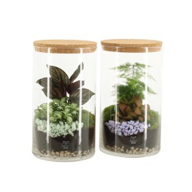 TERRARI PLANTA MINI D14 H27 Spring