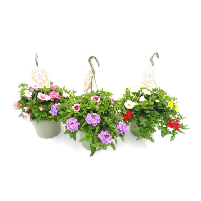 COMPO CONFETTI GARDEN T23