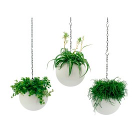 PLANTA VERDE MIX EN GLOBEE M20 H25