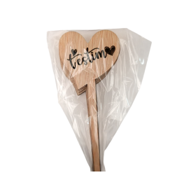 PICK T'ESTIMO 25cm 10U