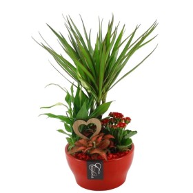 CENTRE PL VARIADA CERAMICA VERMELLA D19 H45