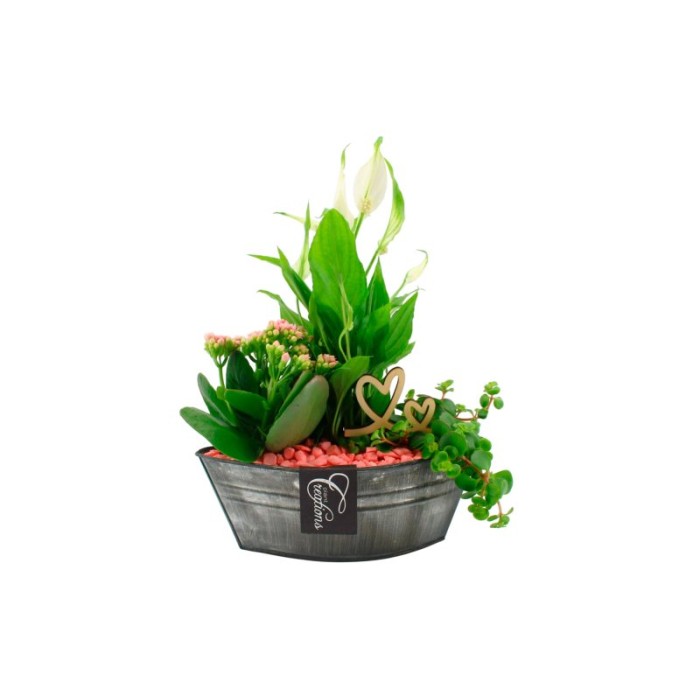 CENTRE PL VARIADA BARCA ZINC L30 H22 rosa