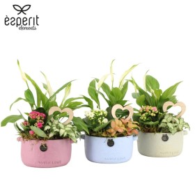 CENTRE PL VARIADA CERAMICA D14 H28