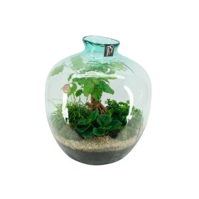 TERRARI PL VERDA VIDRE D45 H55