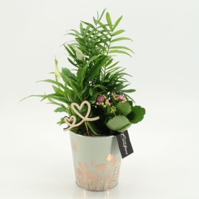 CENTRE PL VARIADA ZINK D13 H40 rosa