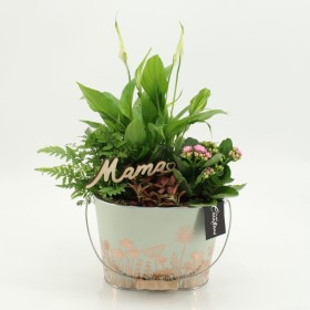 CENTRE PL VARIADA ZINK D20 H40 rosa