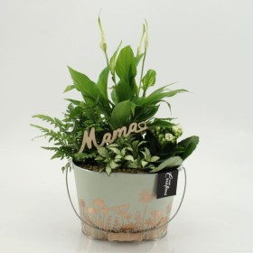 CENTRE PL VARIADA ZINK D20 H40 rosa