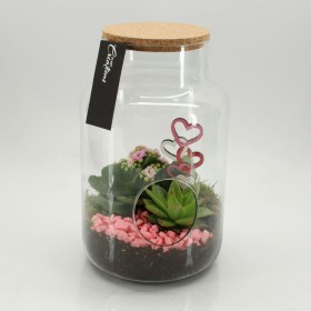 TERRARI PL VARIADA VIDRE D19 H30