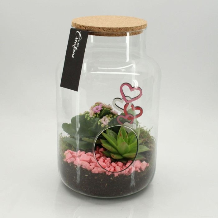 TERRARI PL VARIADA VIDRE D19 H30