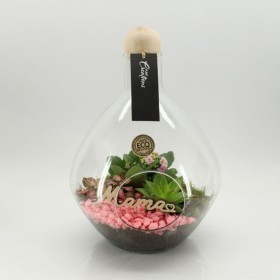 TERRARI PL VARIADA AMPOLLA D26 H35