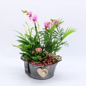 CENTRE PL VARIADA PHA BOL ZINC D23 H40 rosa