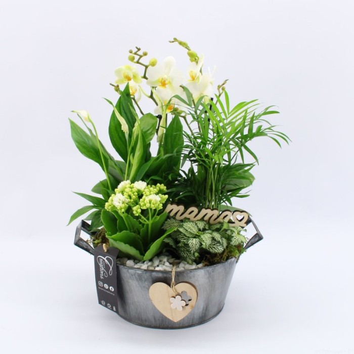 CENTRE PL VARIADA PHA BOL ZINC D23 H40 blanc