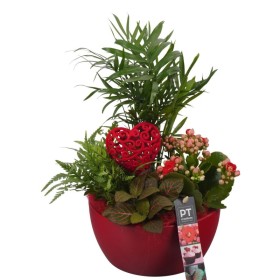 CENTRE PL VAR. CERAMICA VERMELLA D8 H35