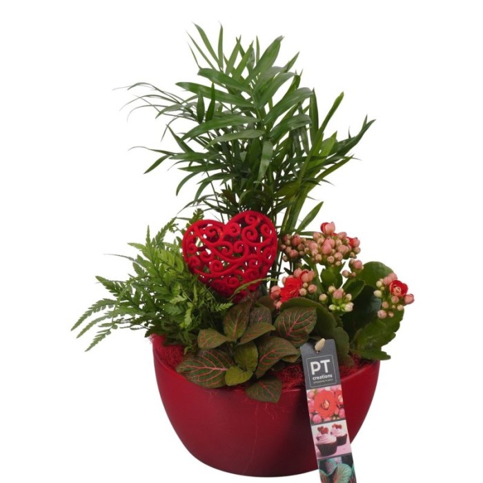 CENTRE PL VAR. CERAMICA VERMELLA D8 H35