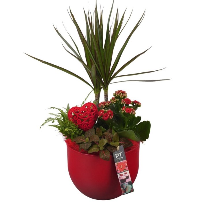 CENTRE PL VAR. CERAMICA VERMELLA D19 H51