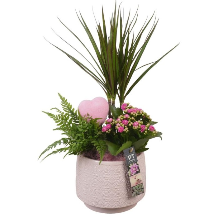 CENTRE PL VAR. CERAMICA ROSA D17 H50