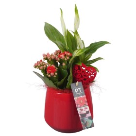 CENTRE PL VARIADA CERAMICA VERMELLA D12 H32