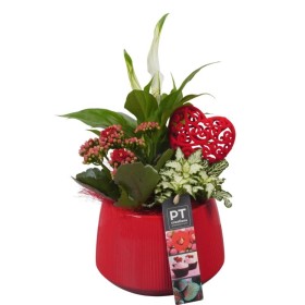 CENTRE PL VAR. CERAMICA VERMELLA D14 H29