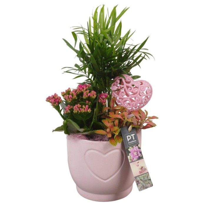 CENTRE PL VAR. CERAMICA ROSA D14 H33