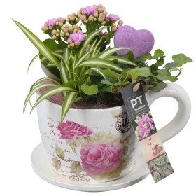 CENTRE PL VARIADA TAZA CERAMICA D14 H28 lila