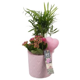 CENTRE PL VARIADA CERAMICA ROSA D12 H36