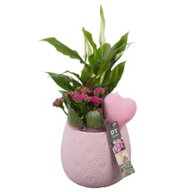 CENTRE PL VAR. CERAMICA ROSA D14 H33