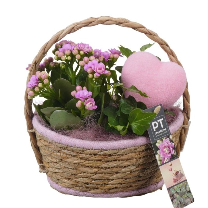 CENTRE PL VARIADA CISTELL D17 H22  Rosa