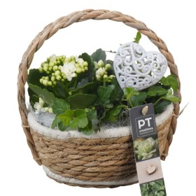 CENTRE PL VARIADA CISTELL D17 H22  Blanca