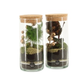 TERRARI PLANTA MINI D 9 H20 X-MAS