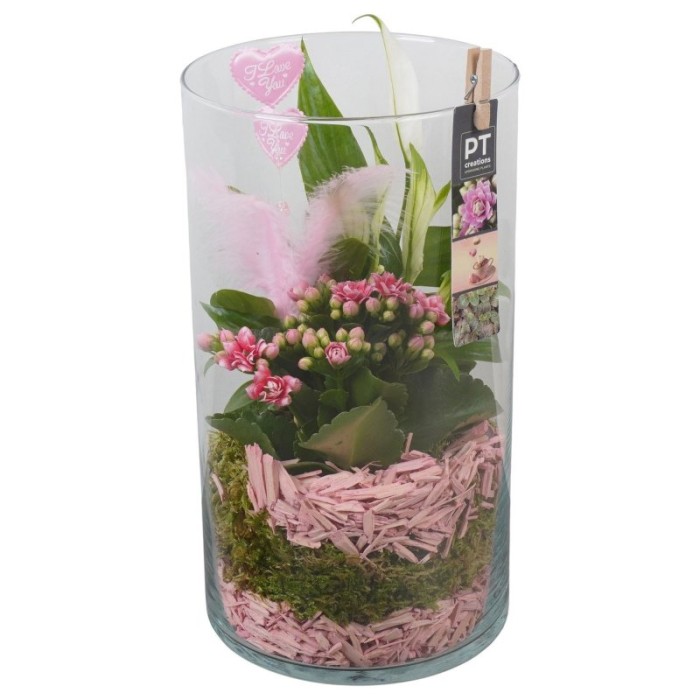 CENTRE PL VARIADA VIDRE D16 33 rosa