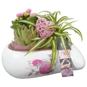 CENTRE PL VARIADA COR CERAMICA D21 H18