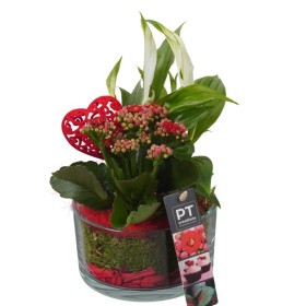 CENTRE PL VARIADA VIDRE D14 H26 vermell