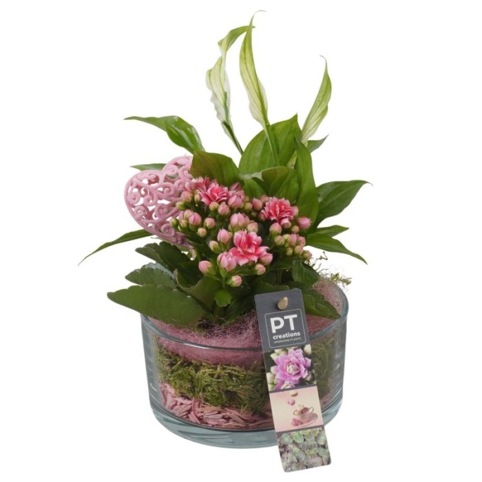 CENTRE PL VARIADA VIDRE D14 H26 Rosa