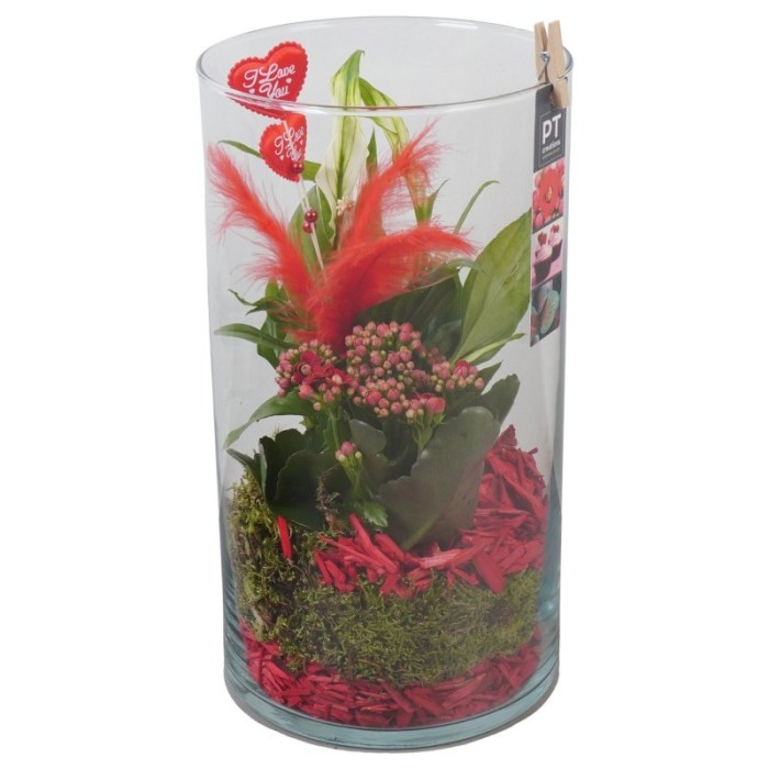 CENTRE PL VARIADA VIDRE D16 33  vermell