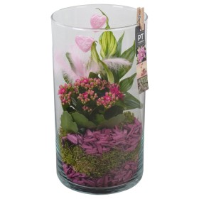 CENTRE PL VARIADA VIDRE D16 33 lila