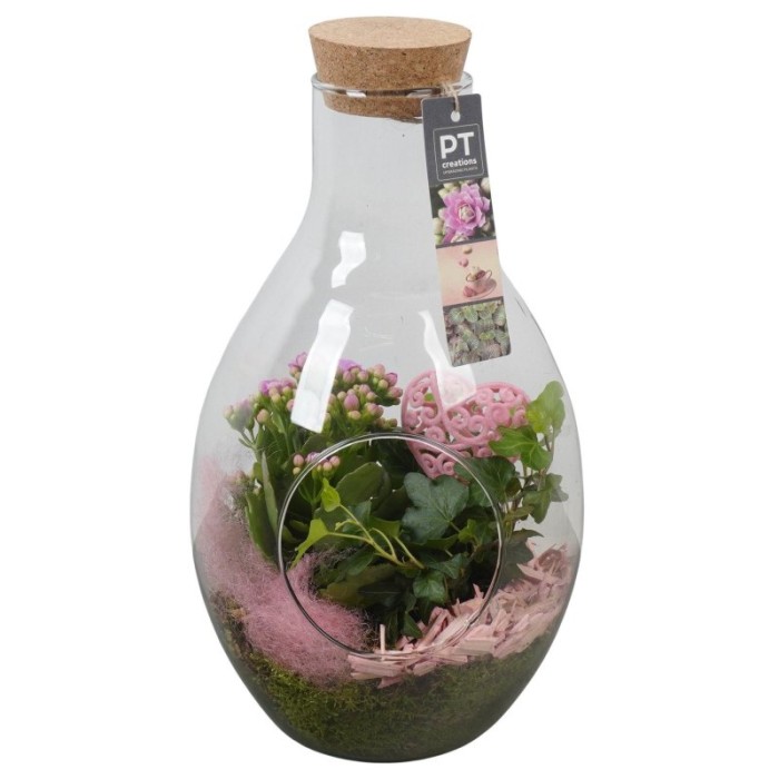 TERRARI PL VARIADA AMPOLLA D18 H33 rosa